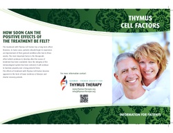 Thymus Brochure